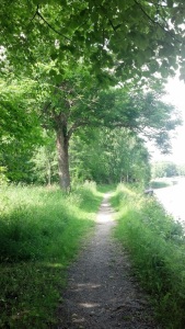 Väddö kanal