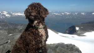 Dimma on the top of Galdhøpiggen